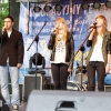 Muzyką do Nieba 2014